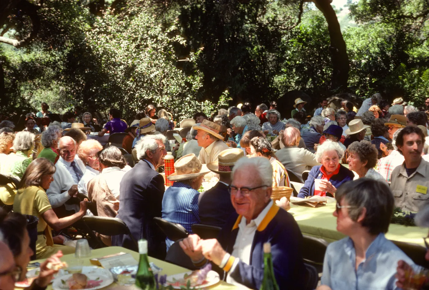 SBBG Members BBQ, 1983, under the oaks
