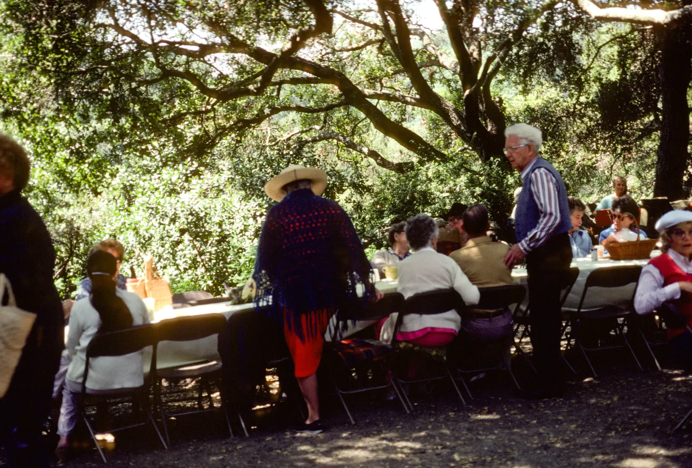 SBBG Members BBQ, 1983, under the oaks