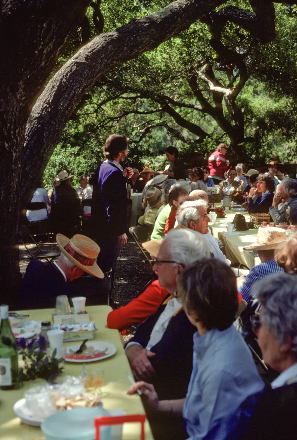 SBBG Members BBQ, 1983, under the oaks