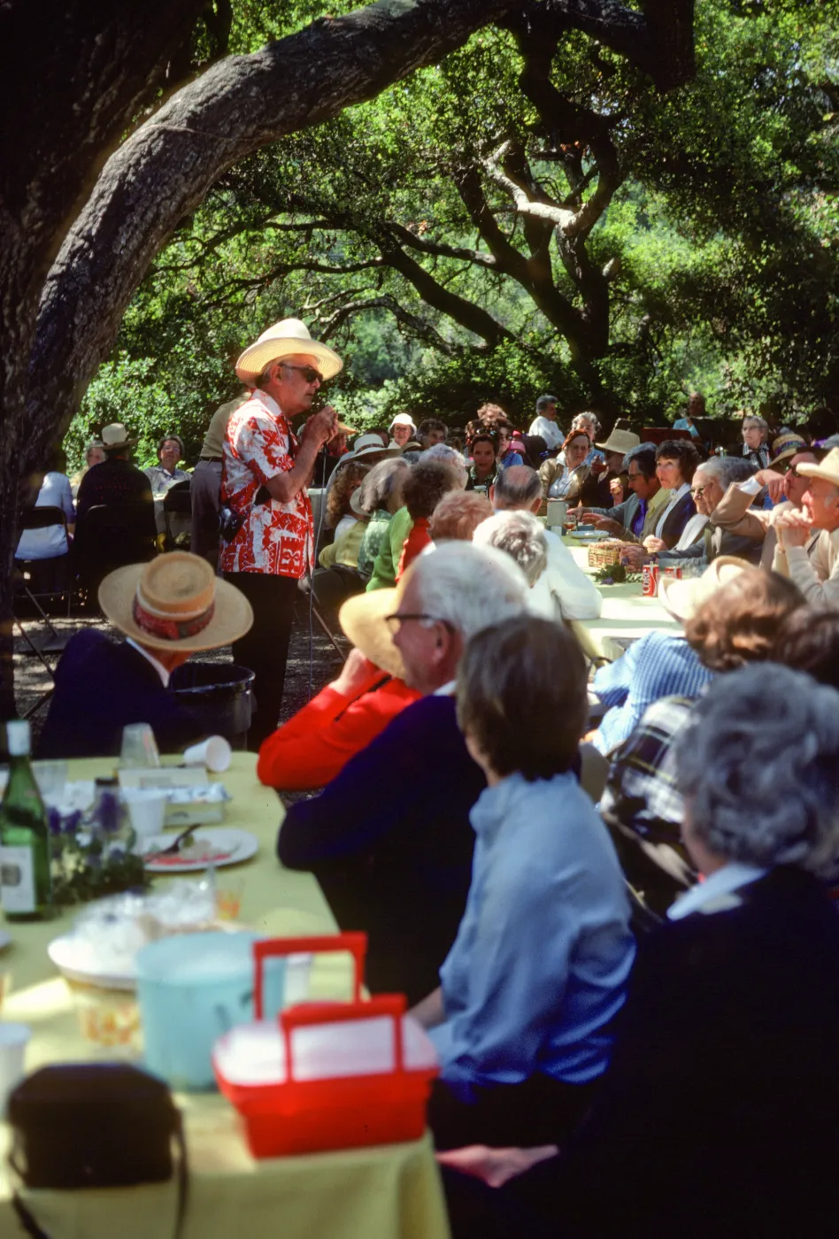 SBBG Members BBQ, 1983, under the oaks