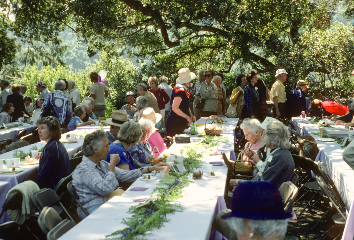 SBBG Members Day Picnic, 1986, under the oaks