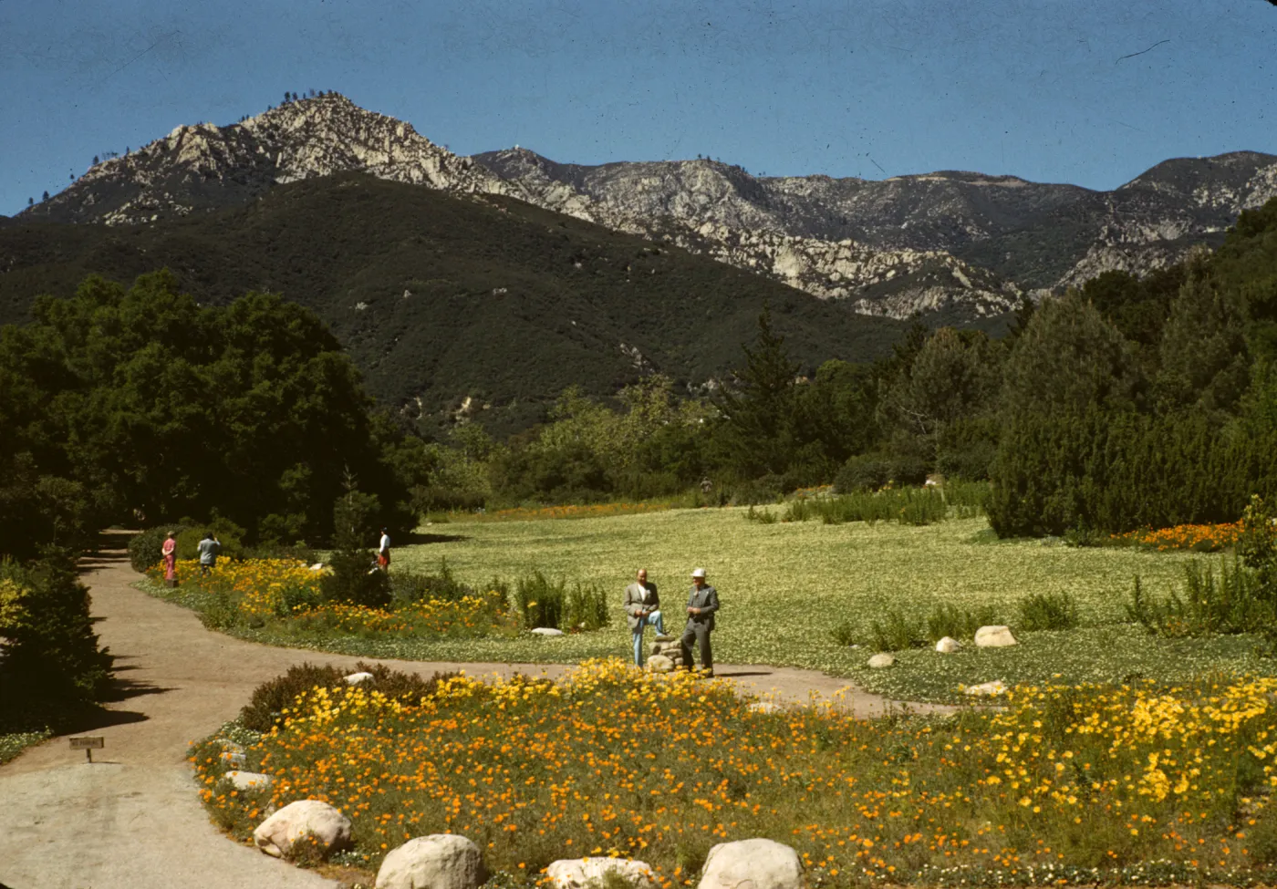 SBBG Members Day, 1944