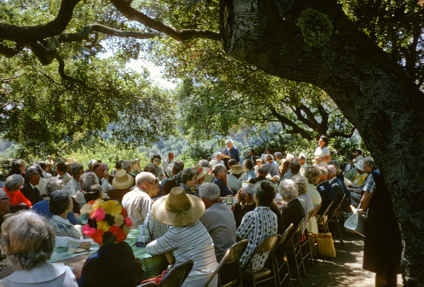 SBBG Members Day, 1970, under the oaks