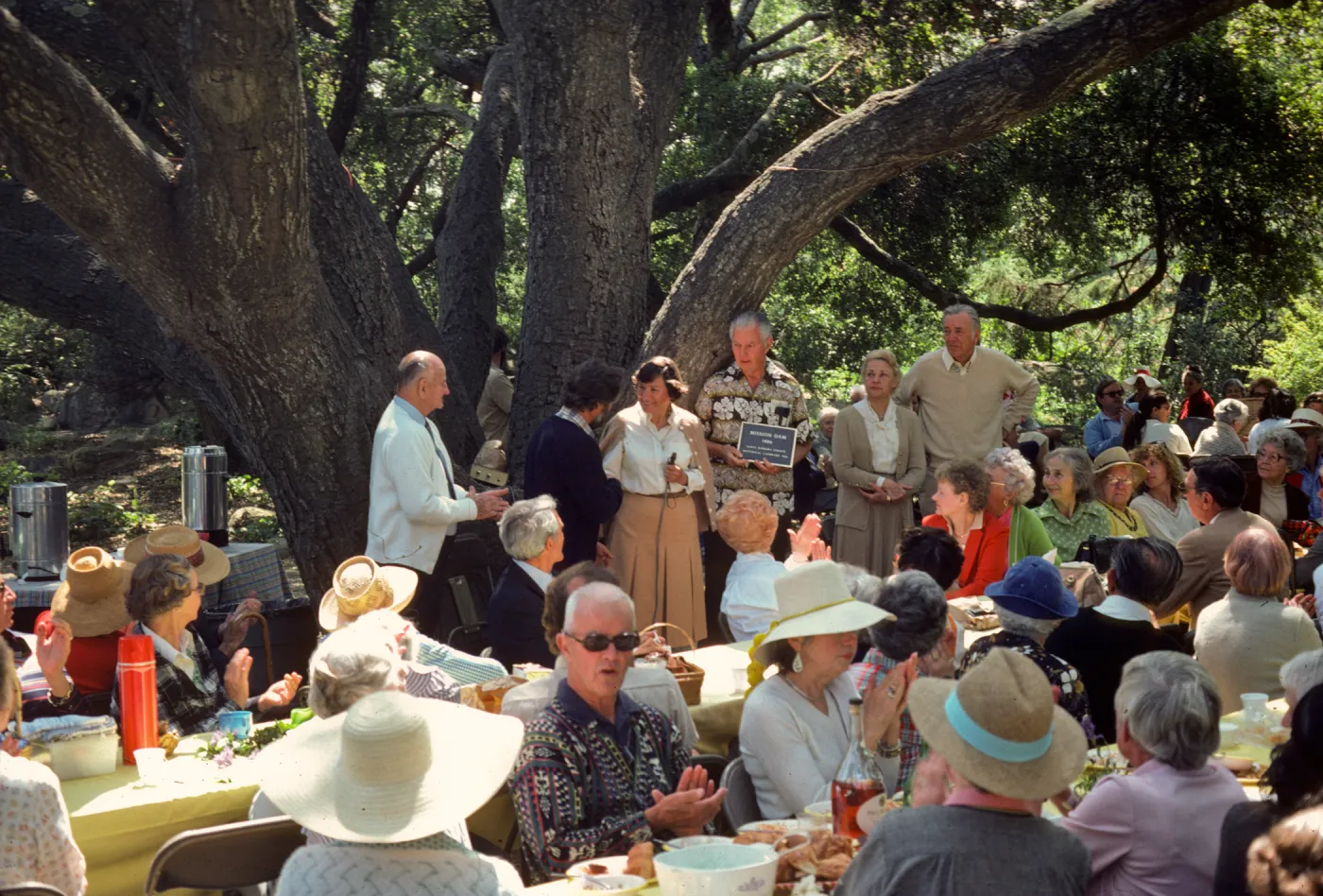 SBBG Members Day Picnic, 1982, under the Meadow Oaks