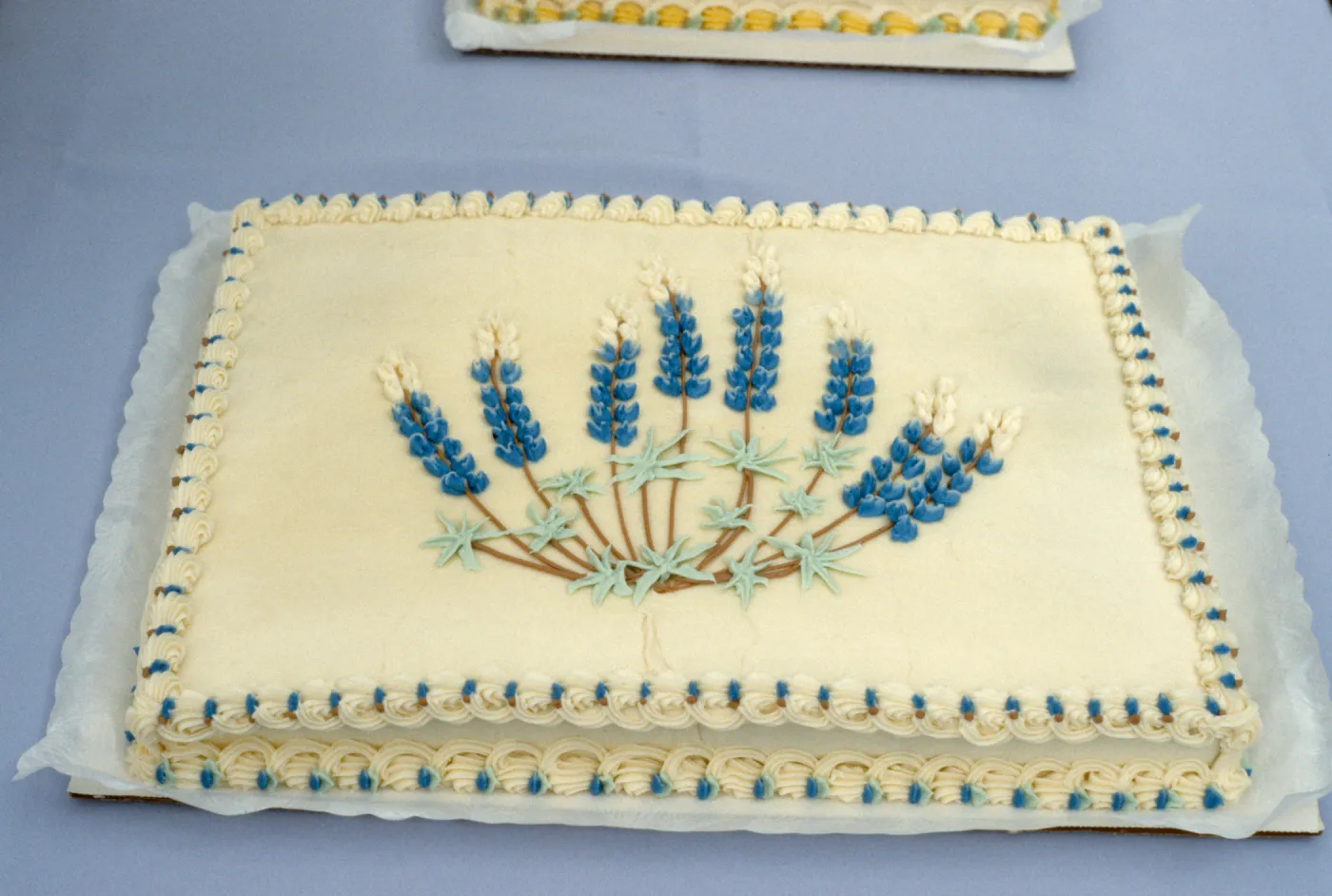 Lupine cake, SBBG Members Day Picnic, 1988