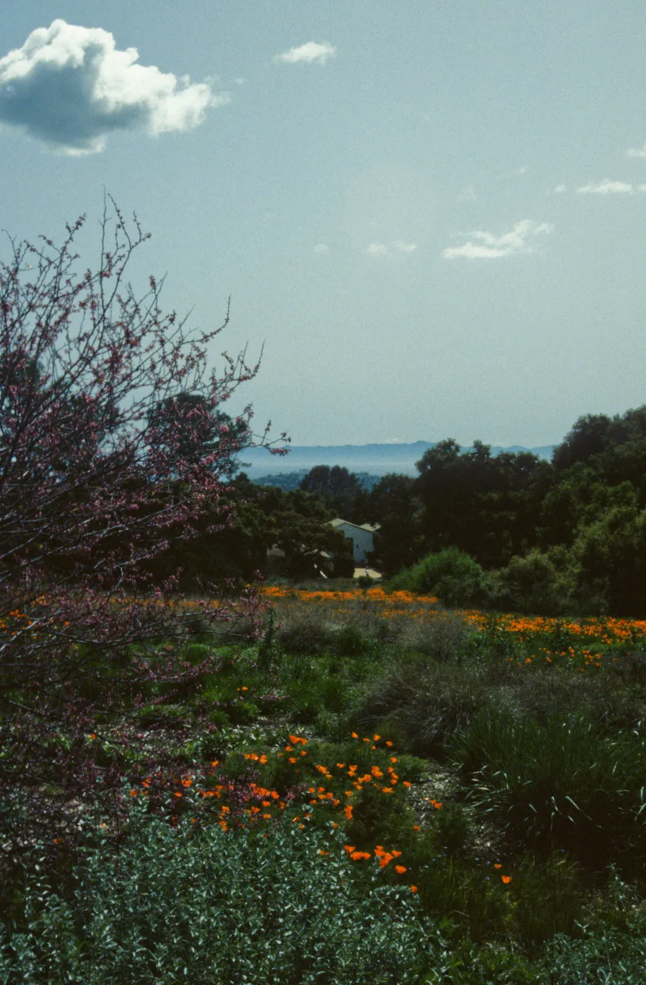 Artist in Garden