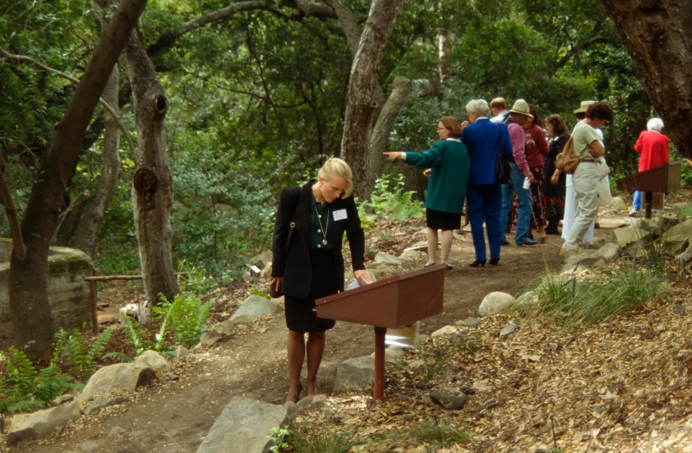 Plant Fiber Art Dedication