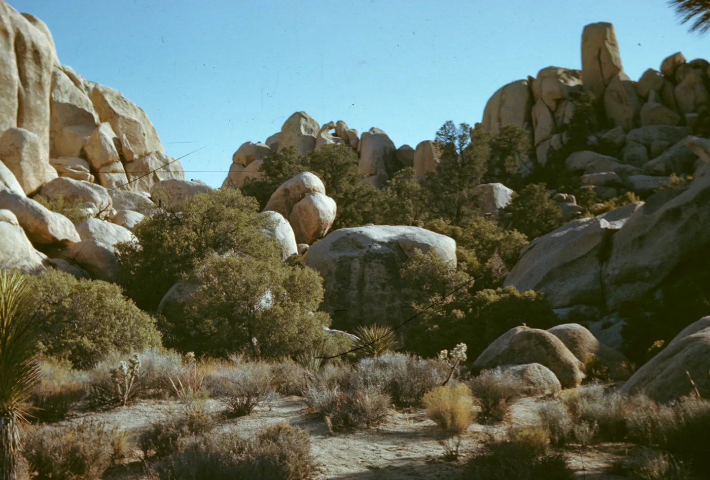 Hidden Valley, Joshua Tree National Monument