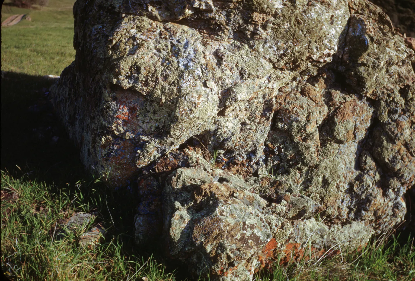 Rock with lichens, Figueroa Mountain