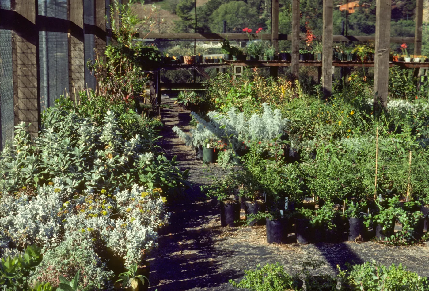 Horticulture Unit