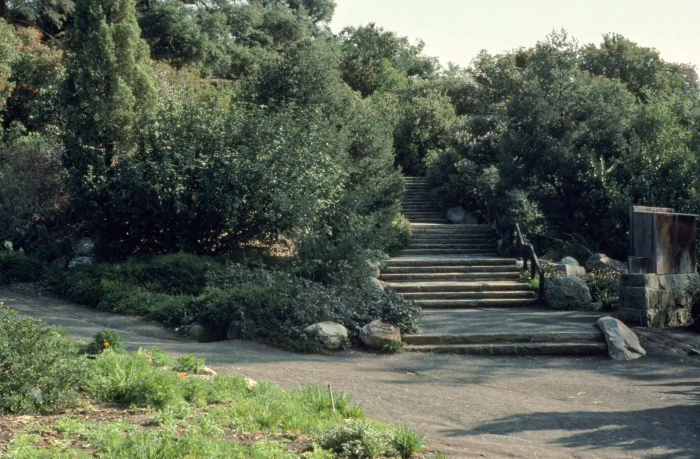 Clara Small Smith steps