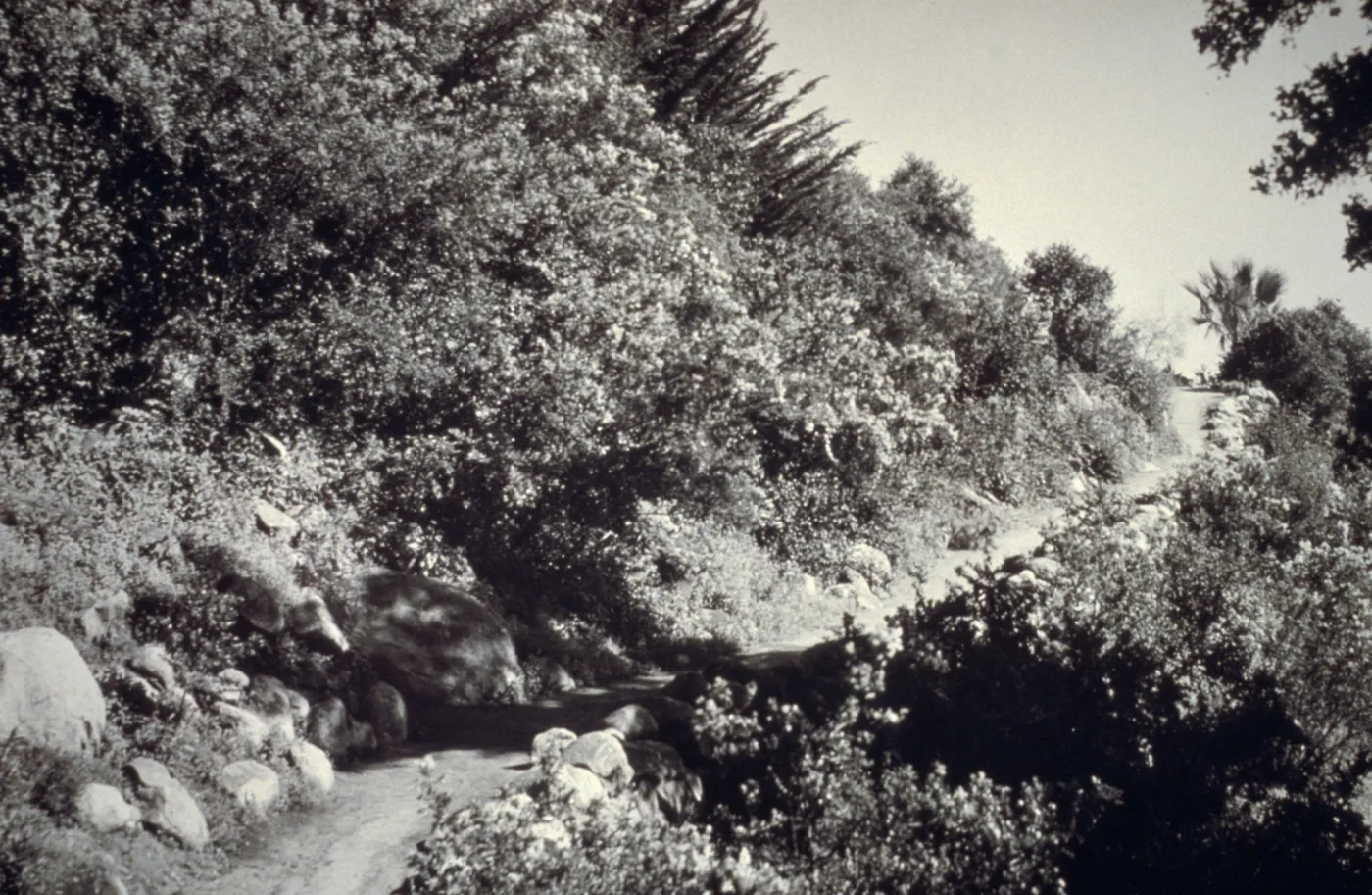 Campbell Trail