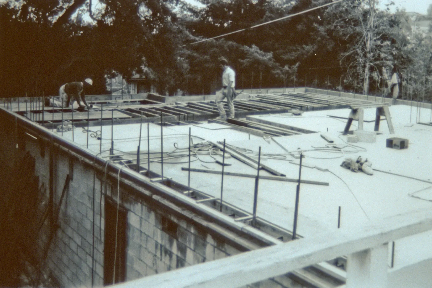 duplicate of SBBG_PR_02877, Herbarium construction taken from Library
