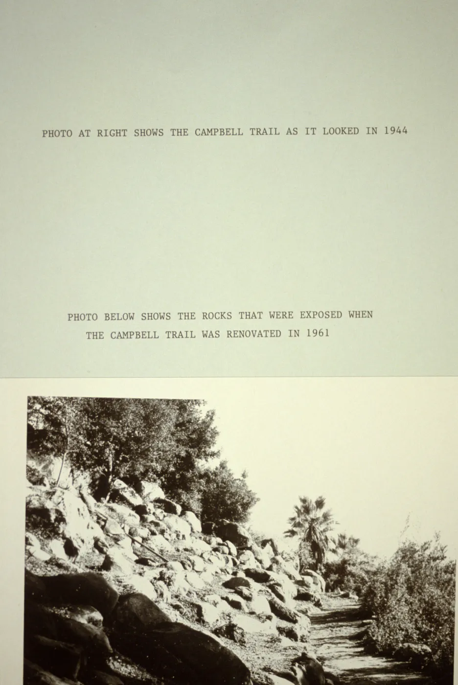 duplicate of SBBG_SL_05816, renovated Campbell Trail 1961