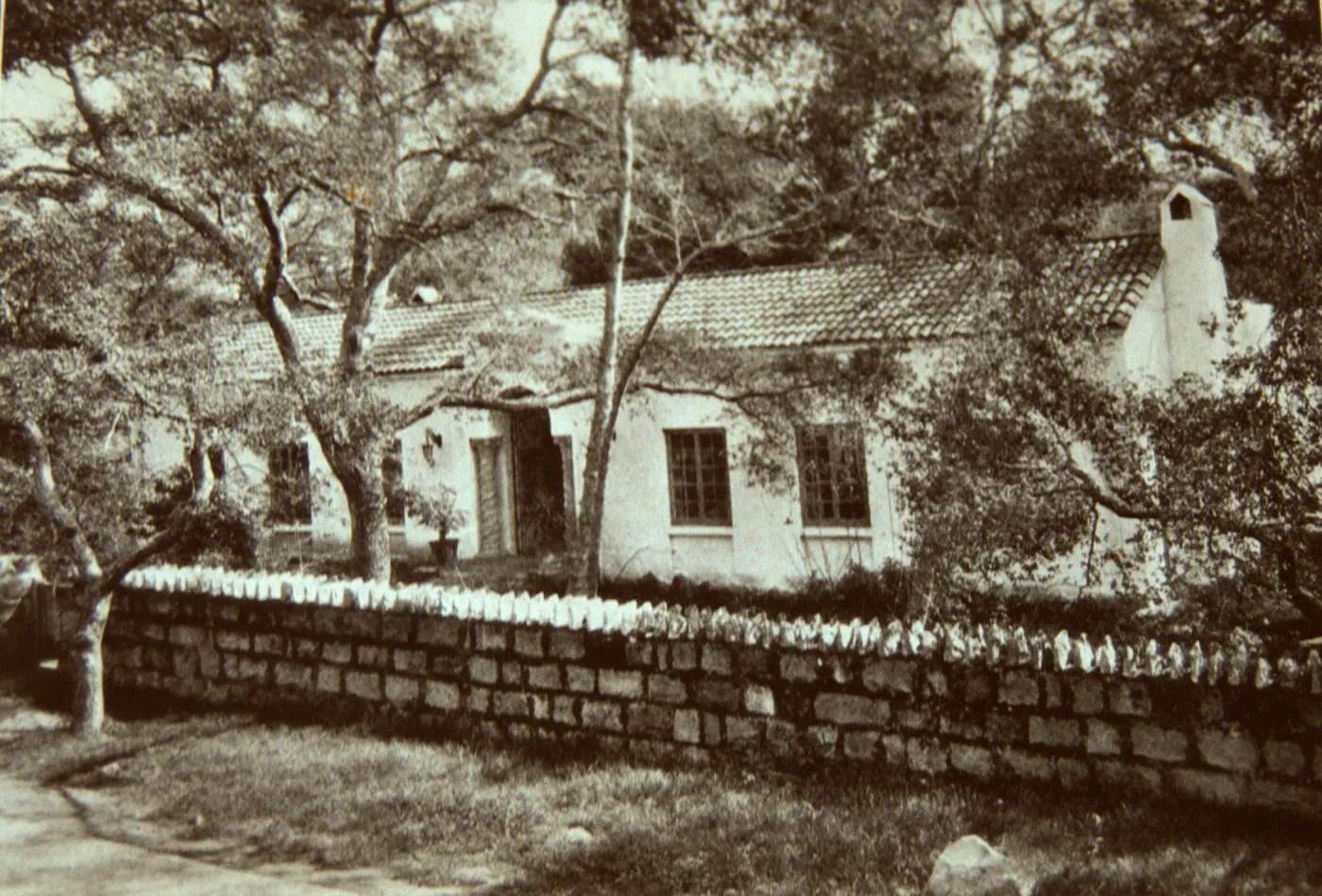 SB Museum of Natural History