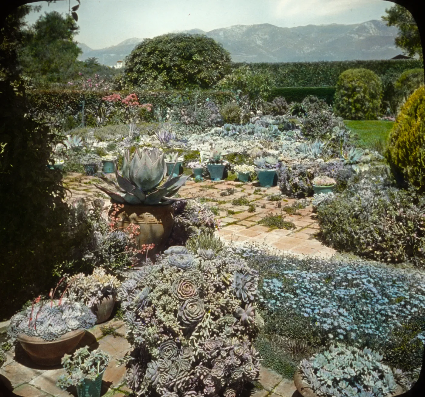 Santa Barbara Gardens of the Past - Osgood Garden (liveforevers)