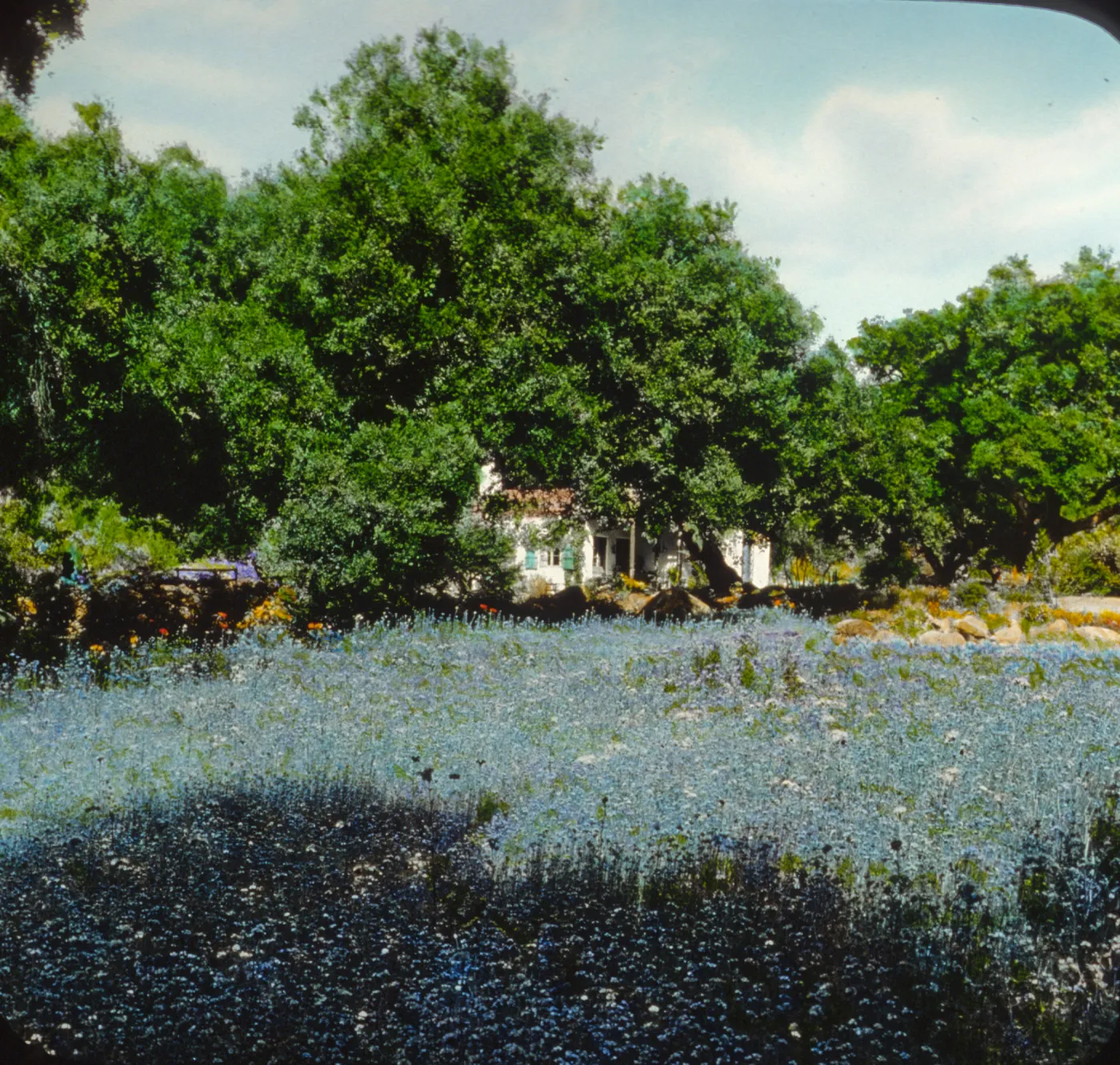 Santa Barbara Gardens of the Past - Casa Santa Cruz