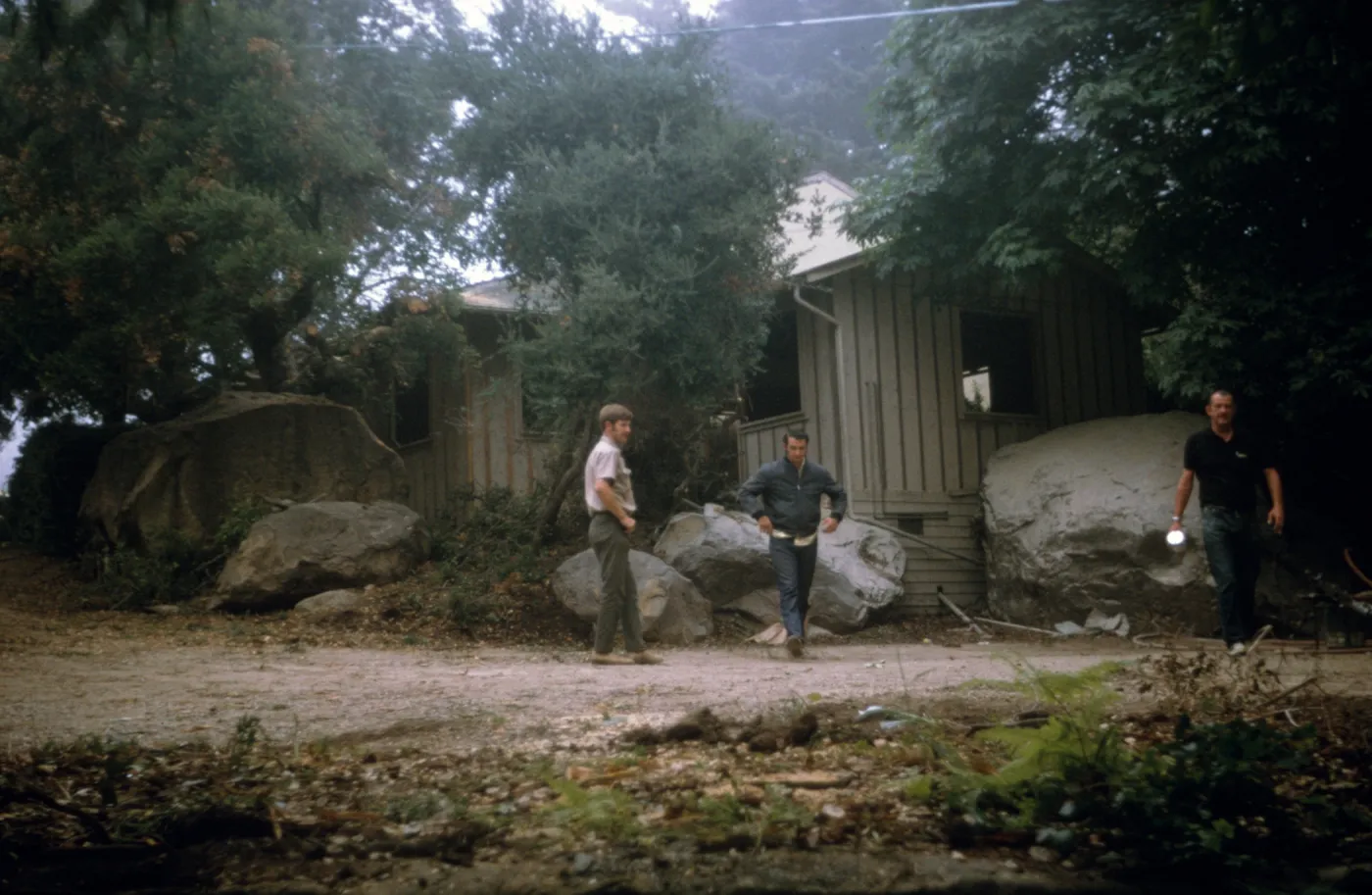 Herbarium Construction