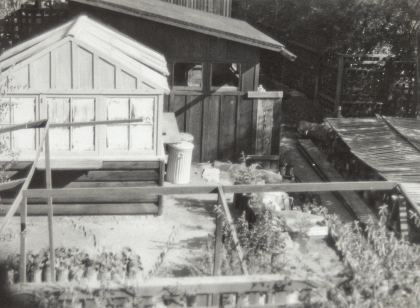 Green house and potting shed 