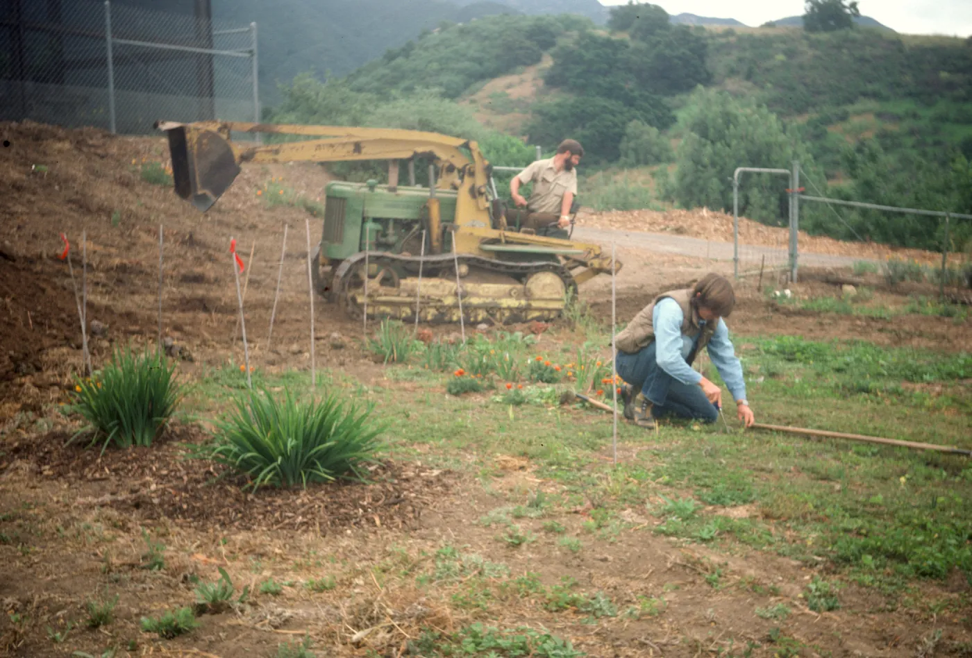 Excavations for raised bed, David Lansing kneeling