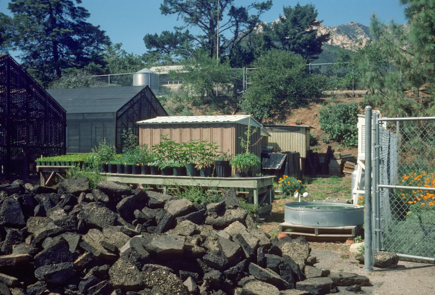 Construction: storage sheds, potting shed & weather station during can yd redo
