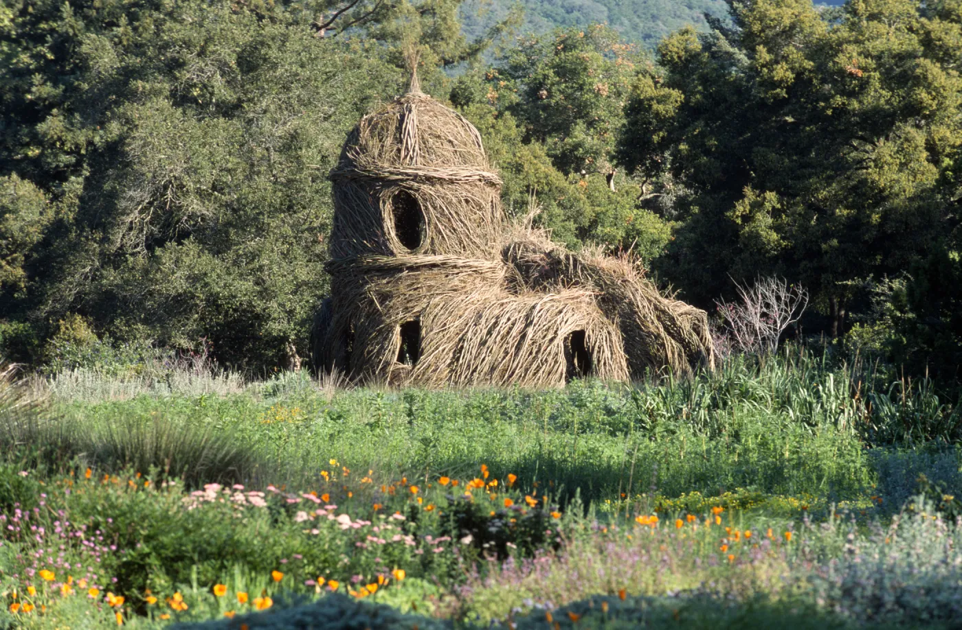 Toad Hall