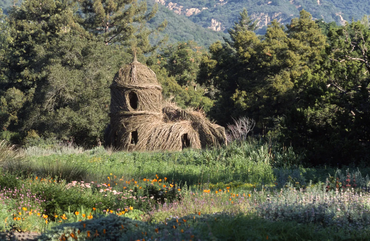 Toad Hall