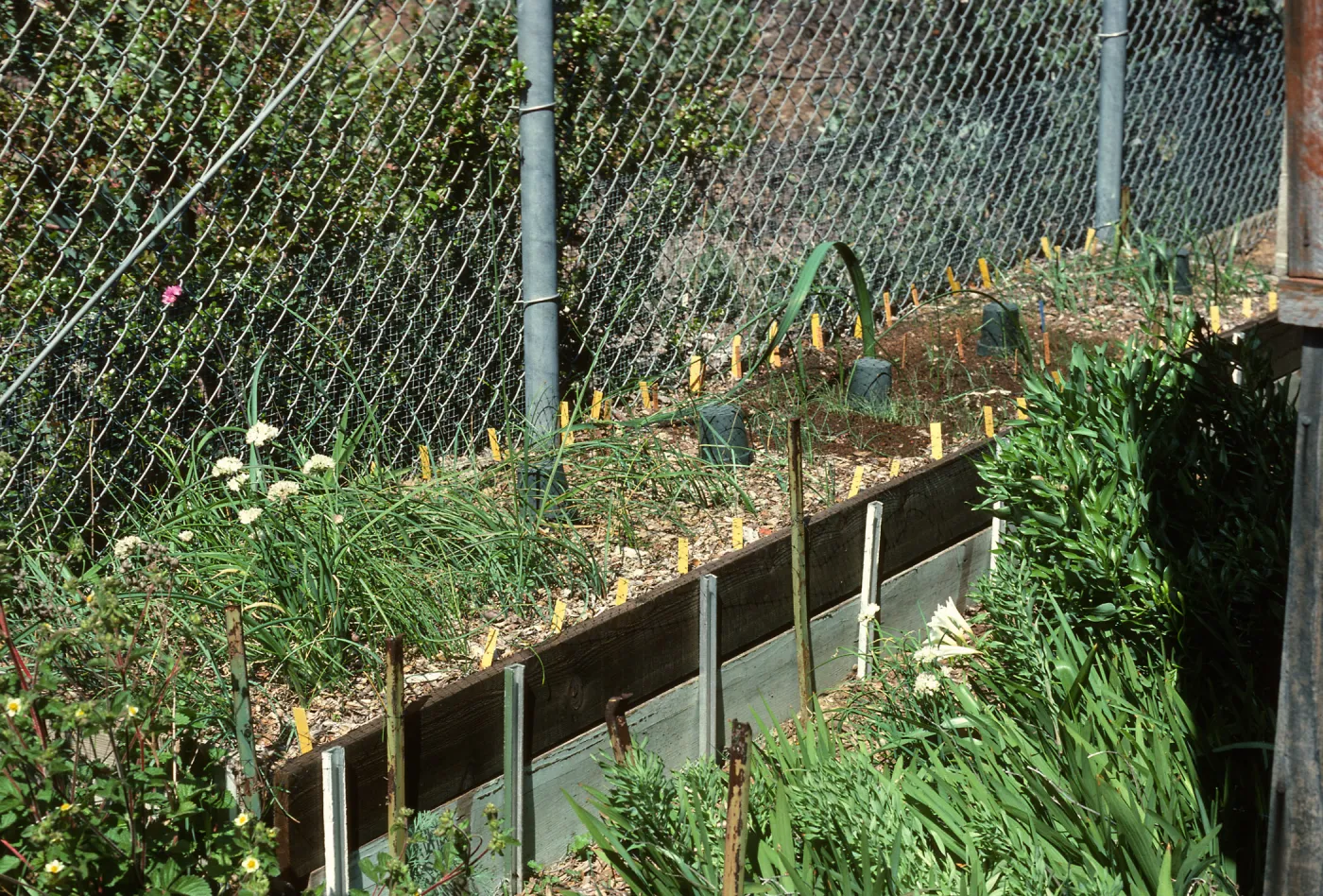 Hort Unit, experimental plot, Dara Spring Walk & Porter Trail