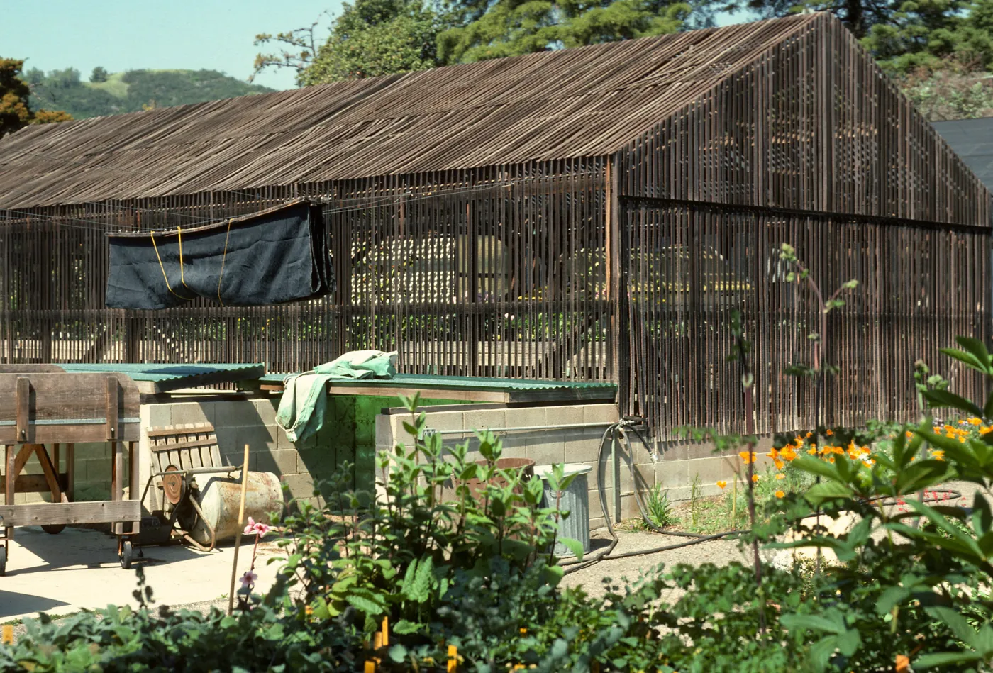 Hort Unit, lath houses, Dara Walk