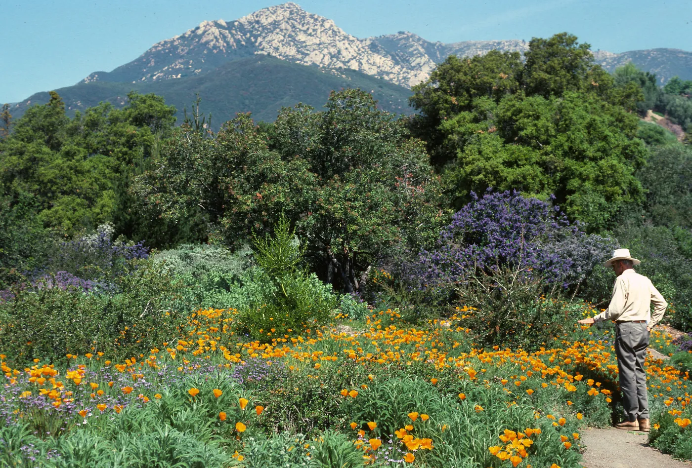 Dara Emery, Porter Trail