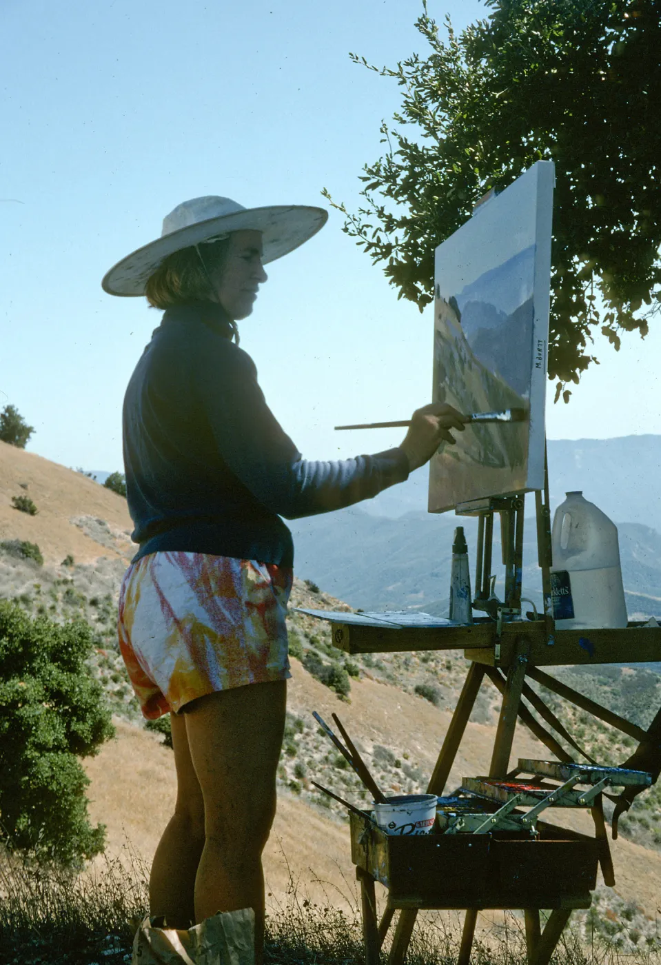 Oak Group Artists, Marcia Burtt, Little Pine