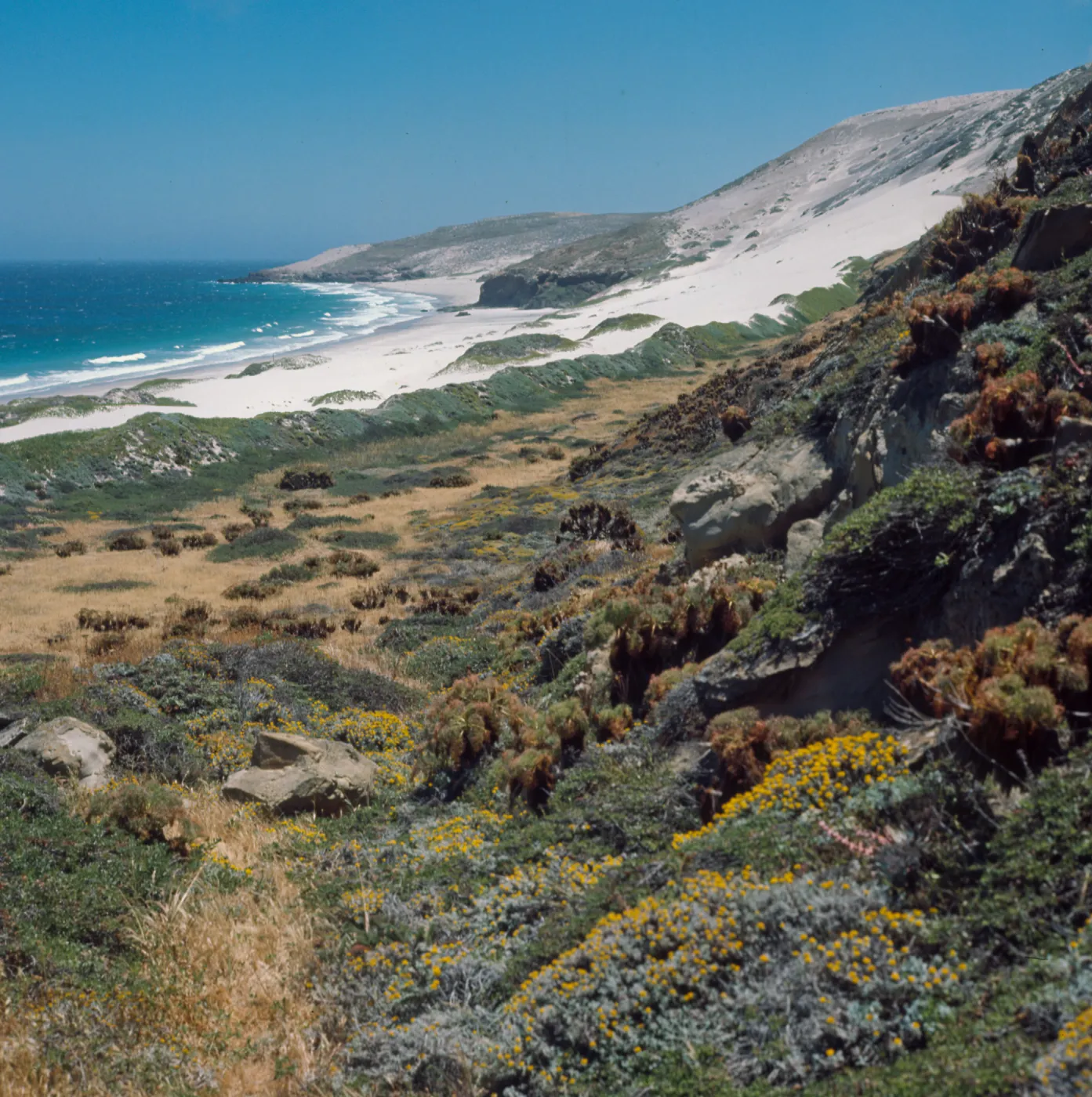 San Miguel Island