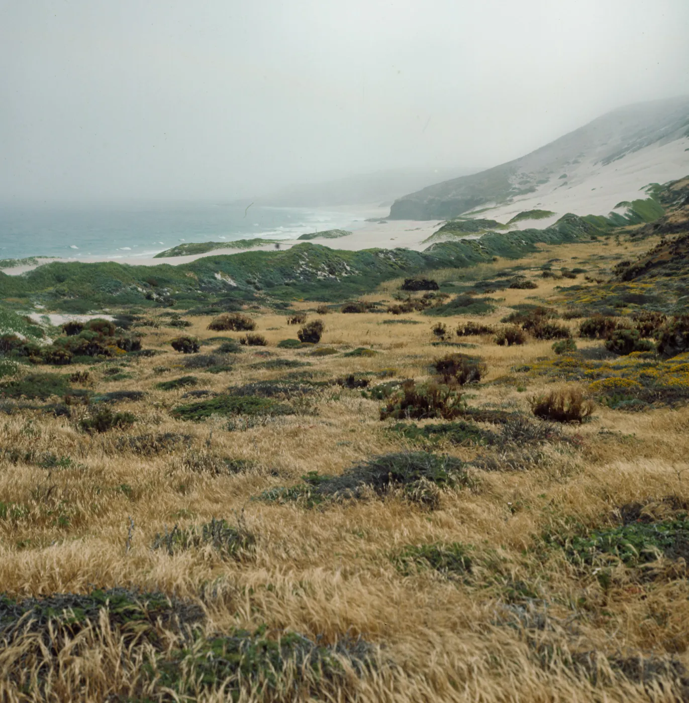 San Miguel Island