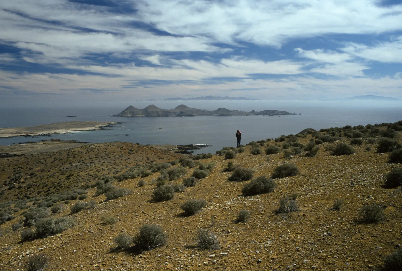Looking toward East San Benito Island from West San Benito Island