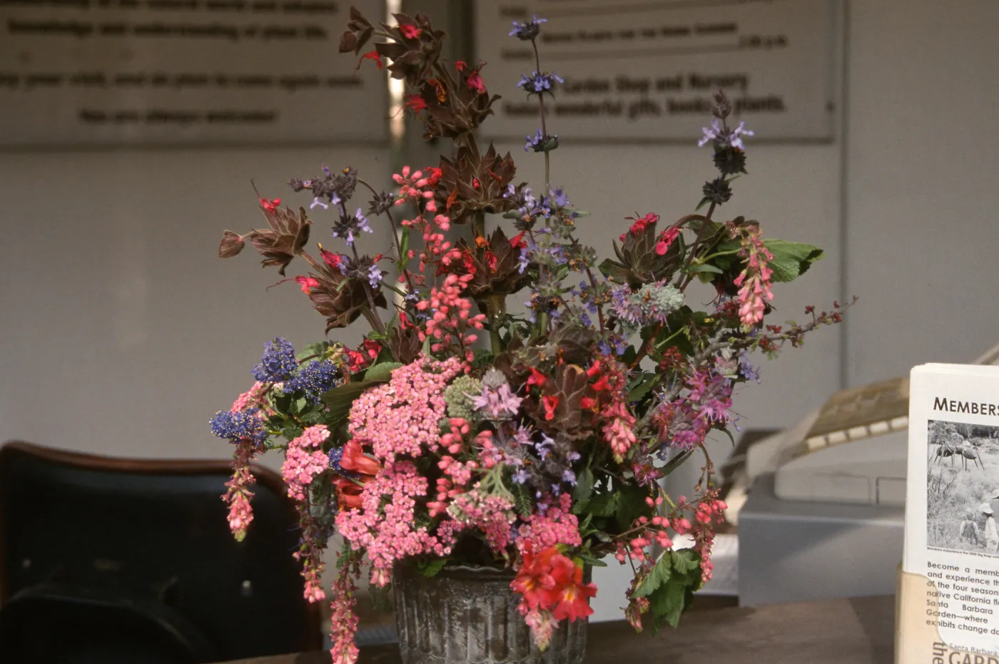 Native Plant Flower Arrangements