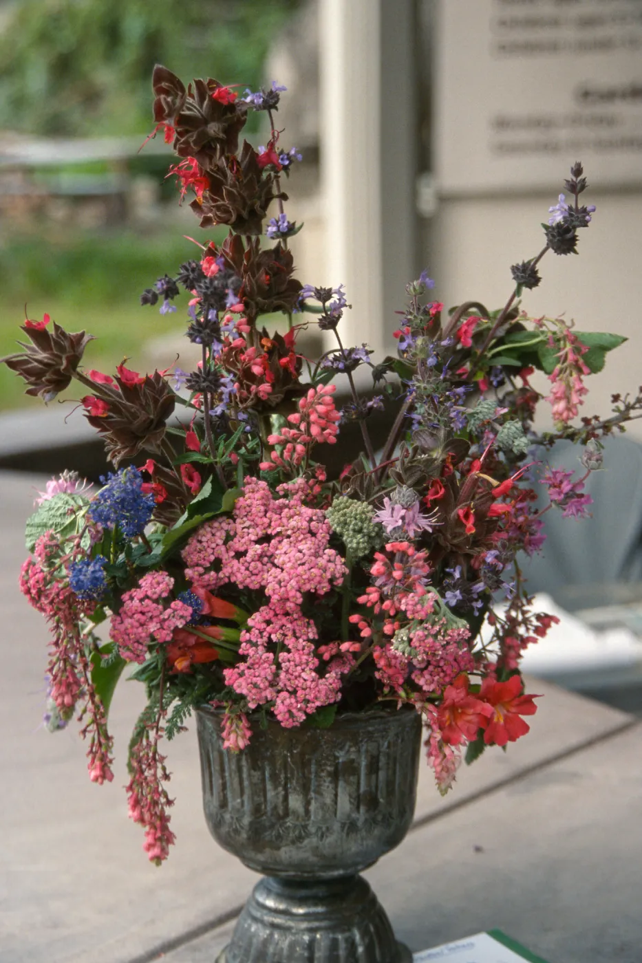 Native Plant Flower Arrangements
