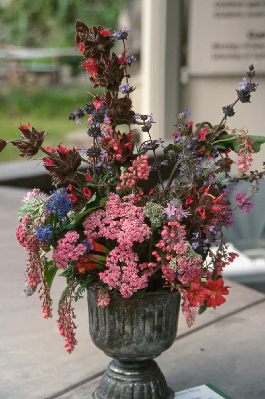 Native Plant Flower Arrangements
