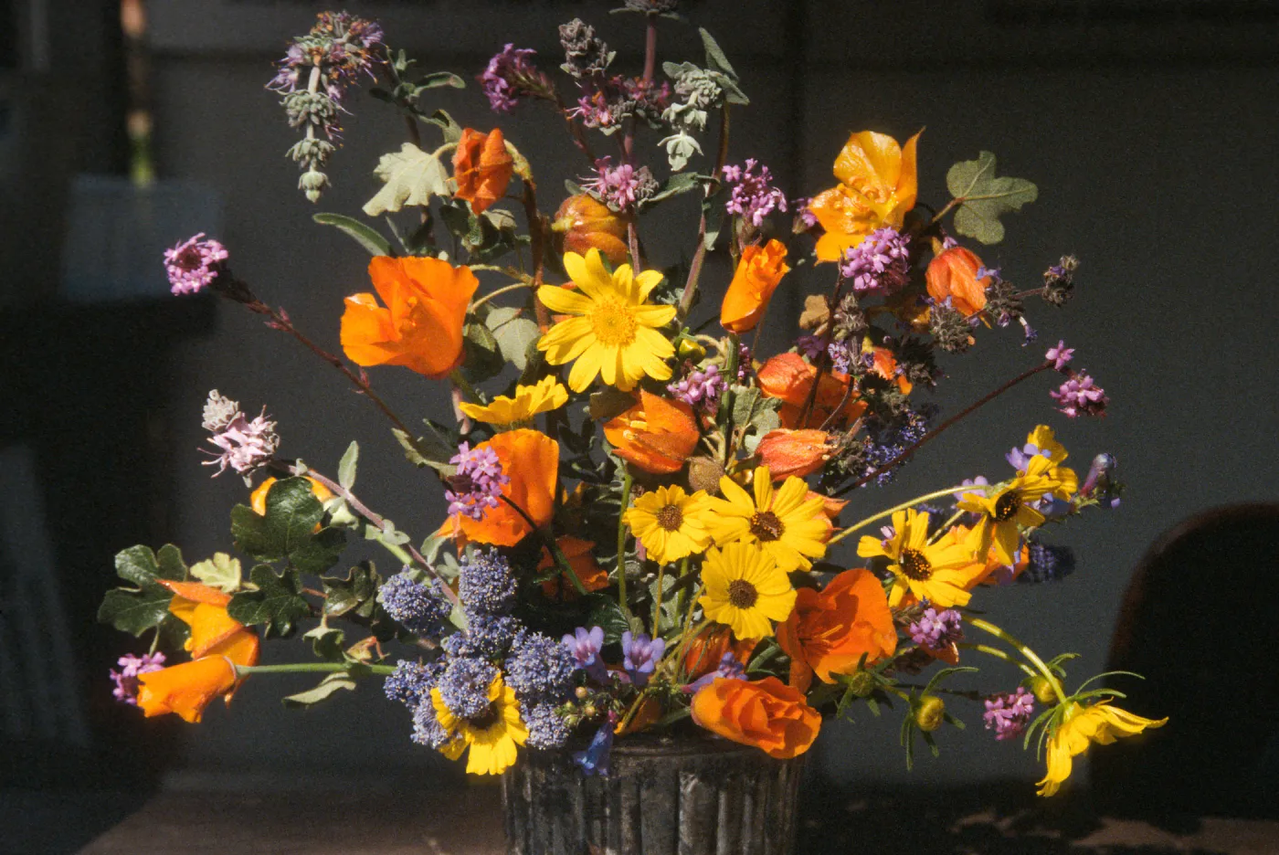 Native Plant Flower Arrangements