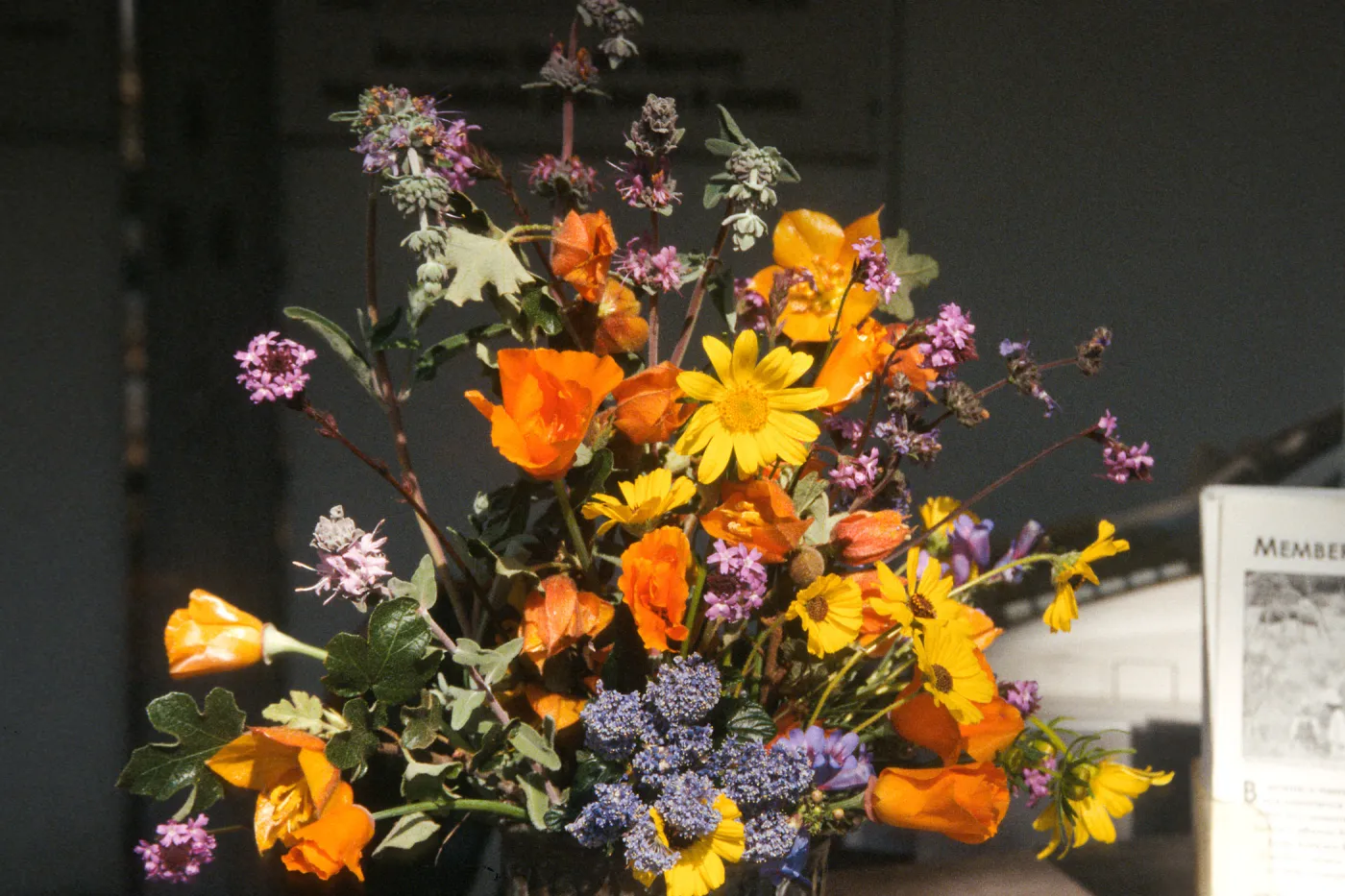 Native Plant Flower Arrangements