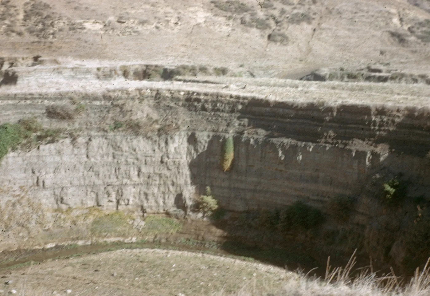 Santa Rosa Island