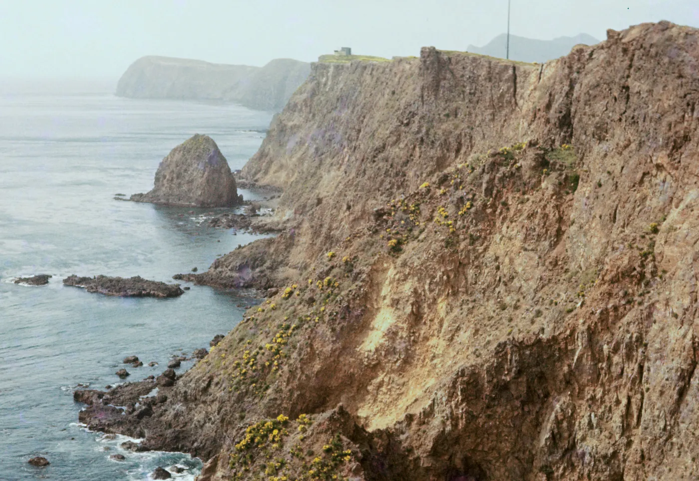 East Anacapa Island, South Coast, Alligator Rock