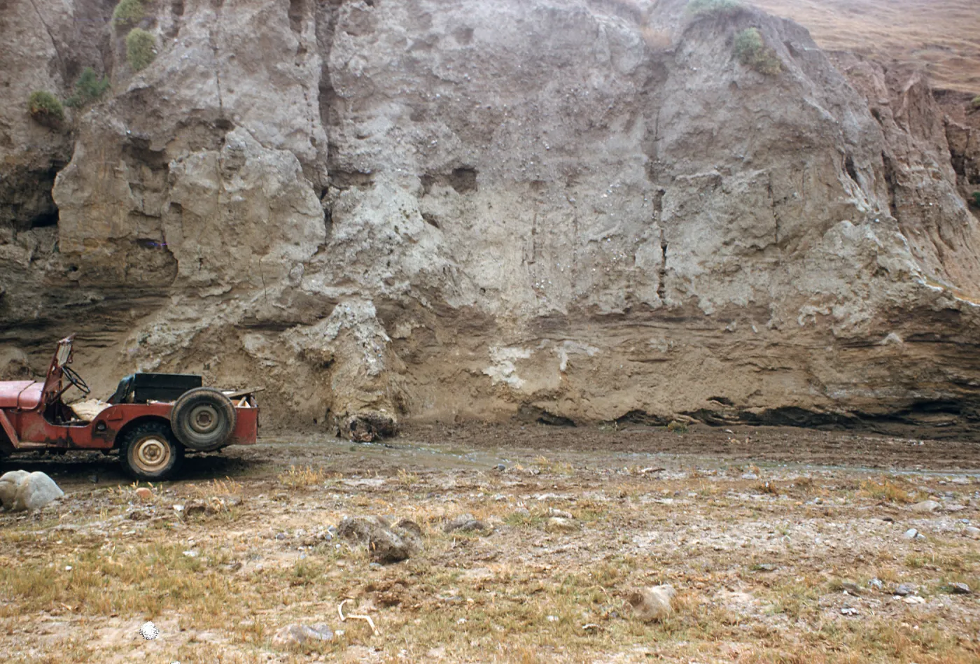 Fossil Log, La Sauces Canyon, Santa Cruz Island