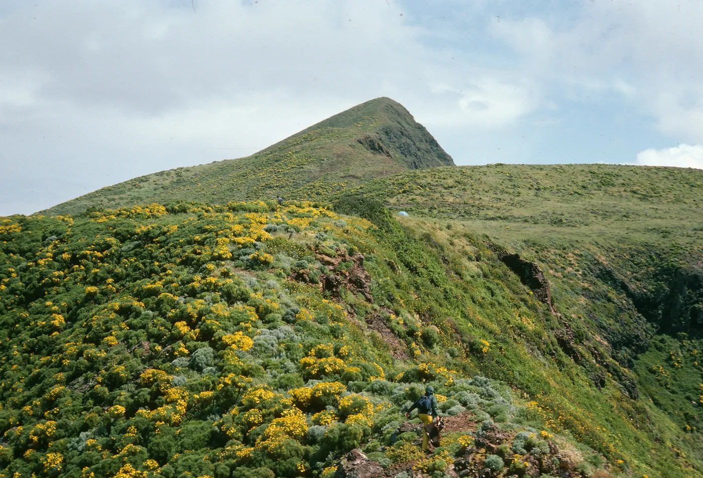 Looking east from just east of Rat Rock (at Summit Pk.), W. Anacapa Isl.