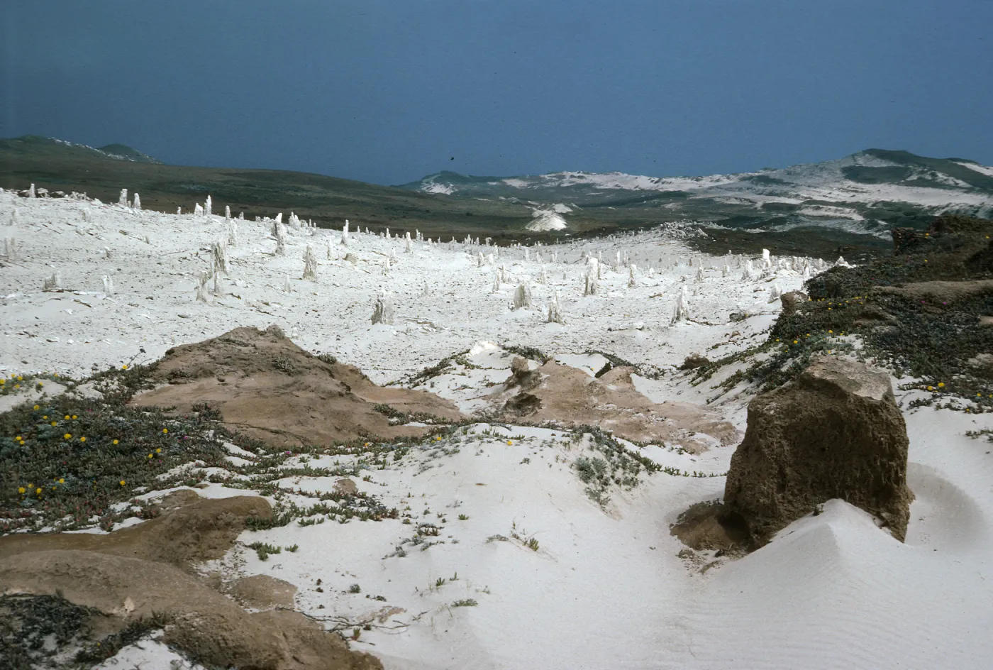 Caliche, San Miguel Island