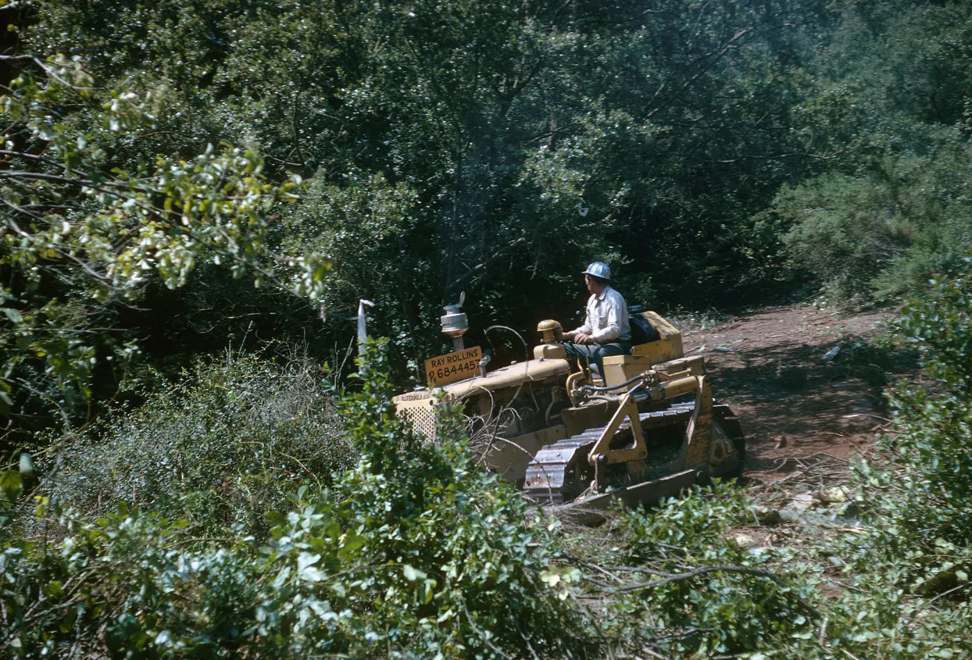 New Island Section Clearing in Progress