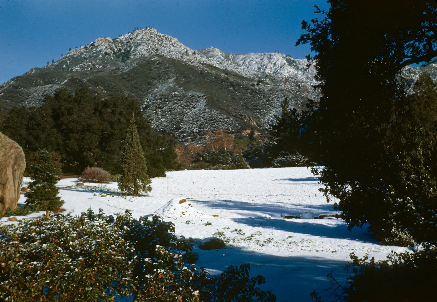 Snow on Meadow
