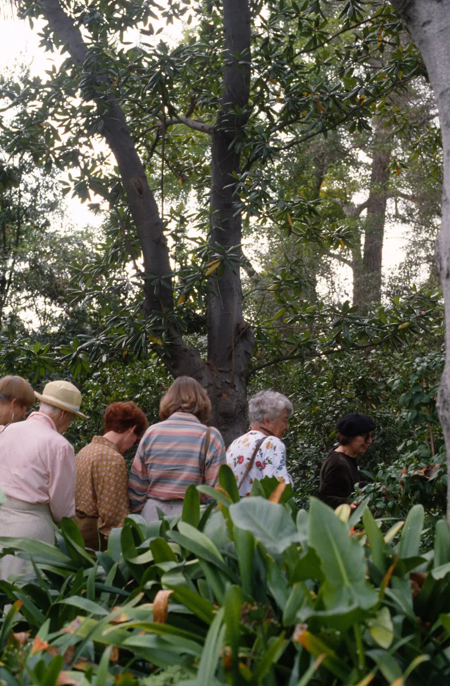 Docent field trip to Virginia Robinson Gardens, Beverly Hills