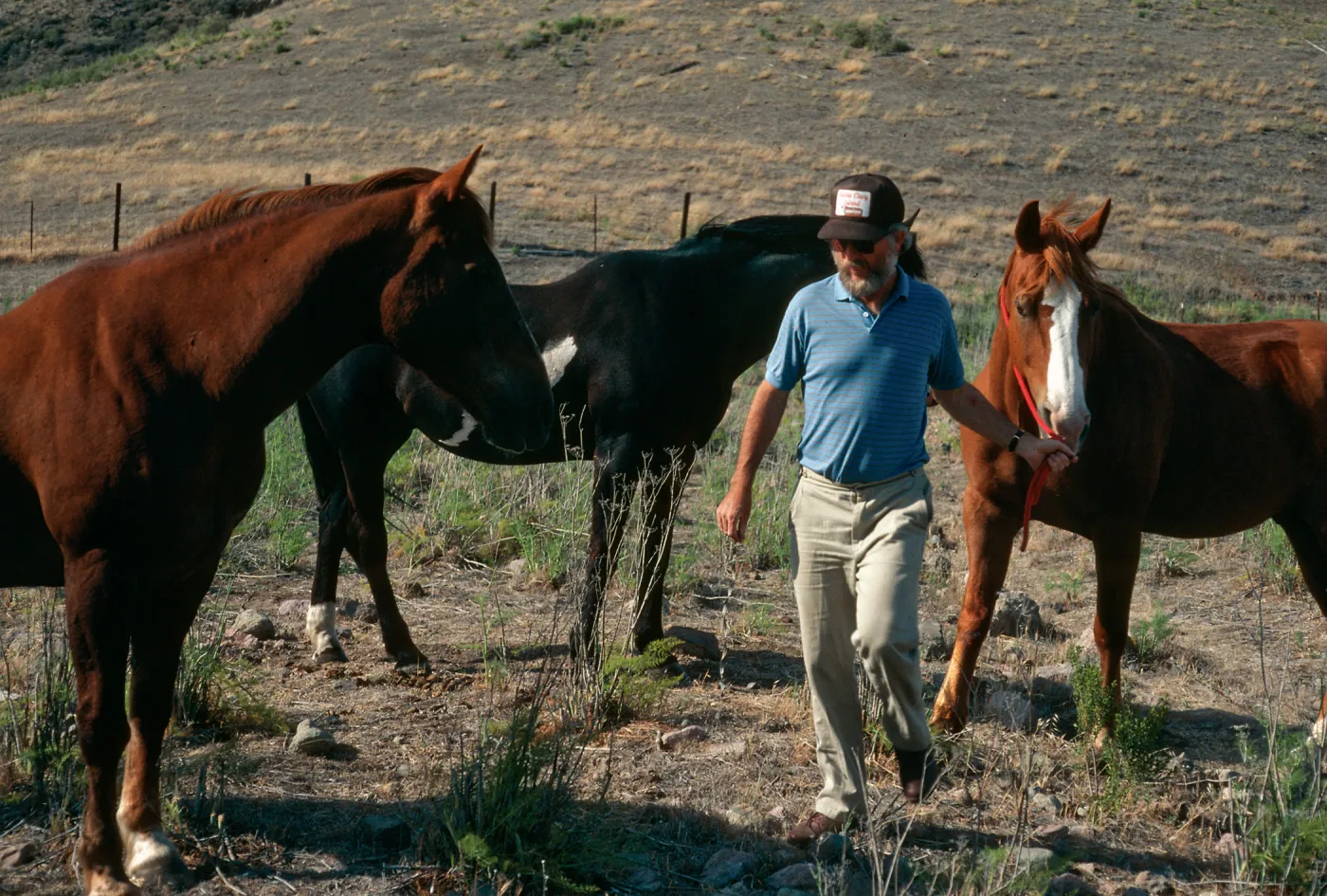 Lyndal with horses