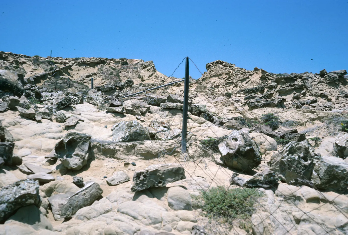 old fenceline, Dutch Harbor, San Nicolas Island