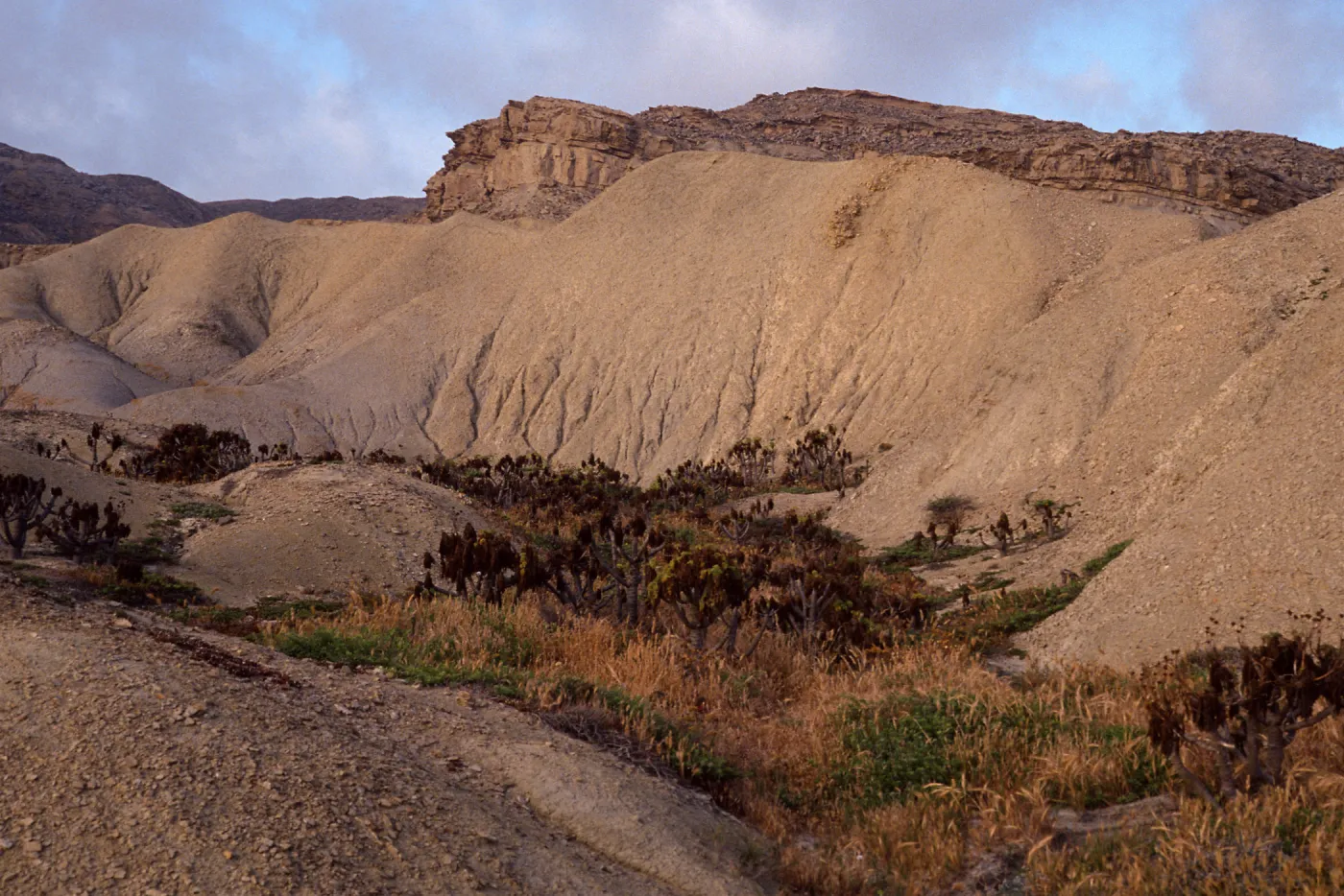 Hills, S. of Twin Rivers, south side, San Nicolas Island